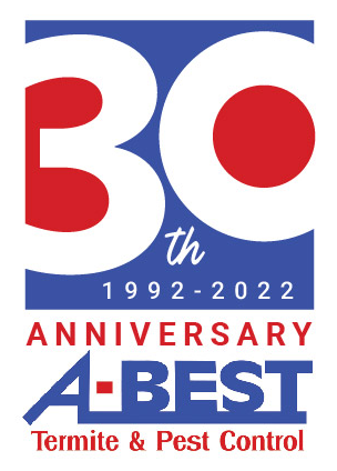 A-Best_30th-Anniversary